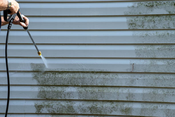  Lexington, WA Junk Removal Pros